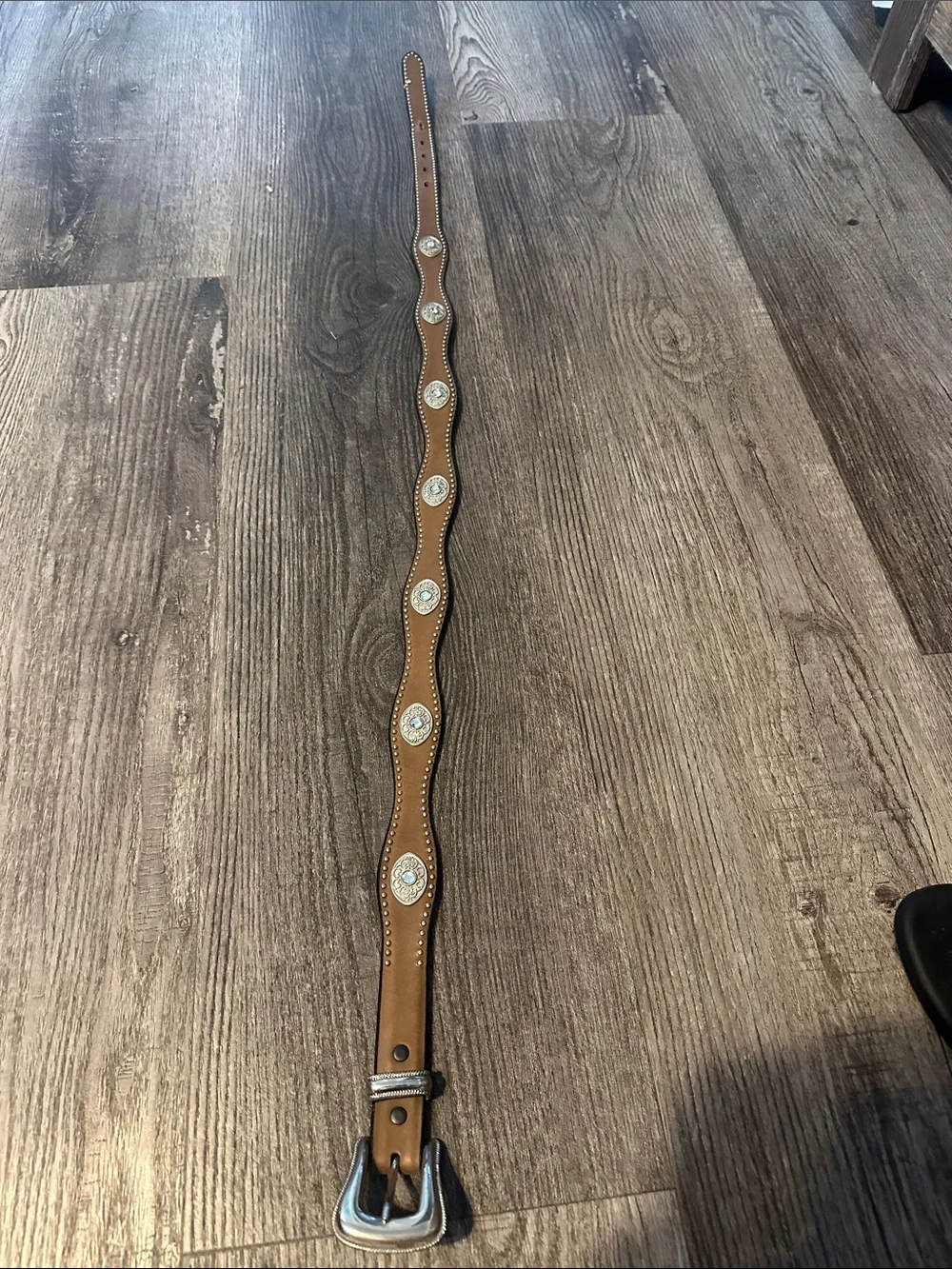 Wrangler Brown Leather Western Belt with Conchos